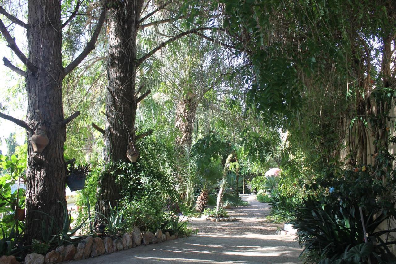 Casa Rural Complex Masia Del Tremendo Y Agroturismo Camarles Extérieur photo