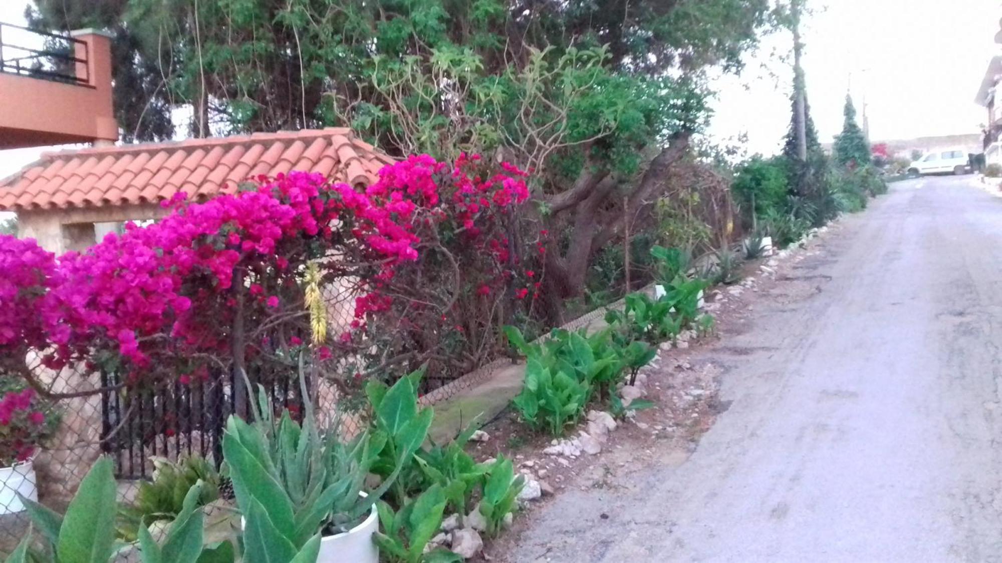 Casa Rural Complex Masia Del Tremendo Y Agroturismo Camarles Extérieur photo